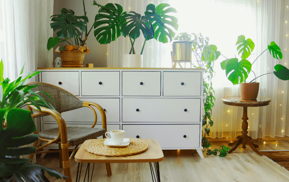 Reduce Carbon Footprint with Eco-Friendly Pro Movers in Ottawa 1 Some furniture easily gets damaged, so ensure there is less risk, or at least be sure of insurance details.