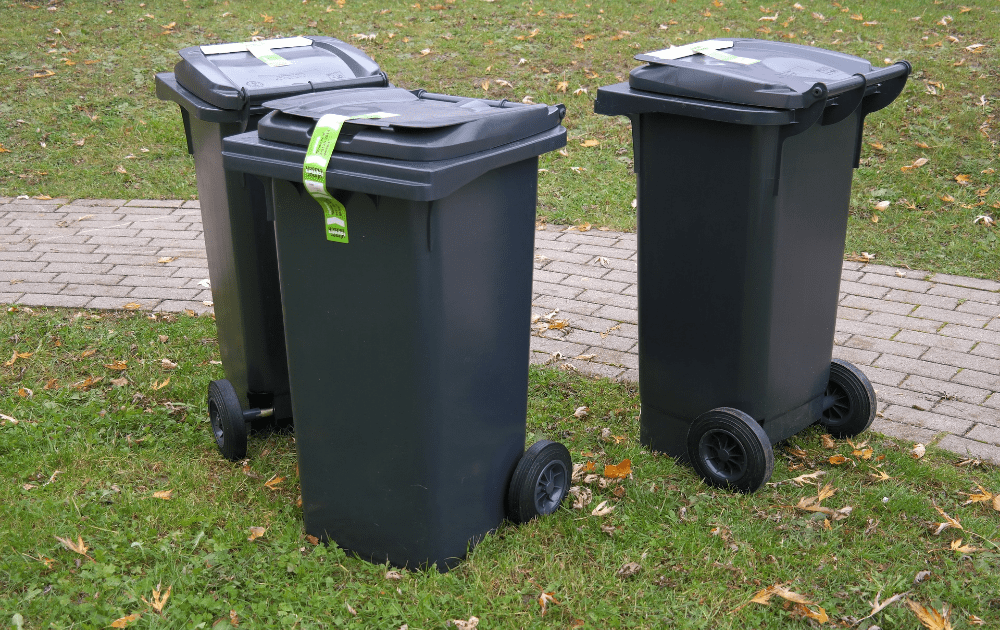 Reduce Carbon Footprint with Eco-Friendly Pro Movers in Ottawa 3 You can save time looking for these bins and will spend less money if pro movers in Ottawa include them in their package.