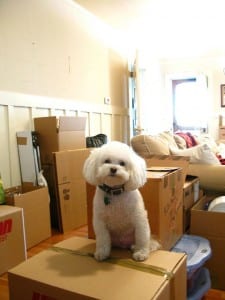 Tips for Moving to a Smaller Home 2 moving to a smaller home