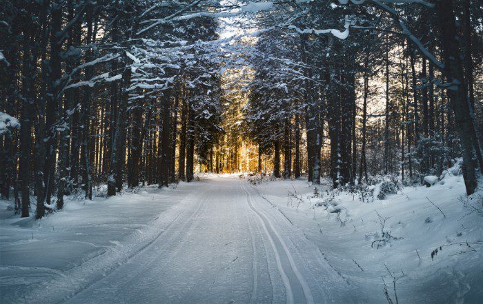 How Furniture Move Service Companies Can Help You 2 Extreme weather conditions are never the right time for moving furniture